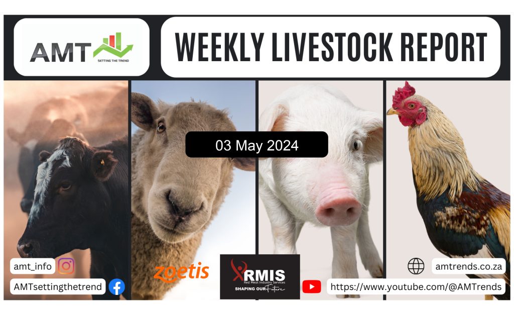 AMT-Weekly-Livestock-Report-No-18-2024.05